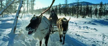 Evenki on sled Evenki on sled